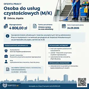 [ePraca] osoba do usług czystościowych (M/K) - HANYSEK.NET